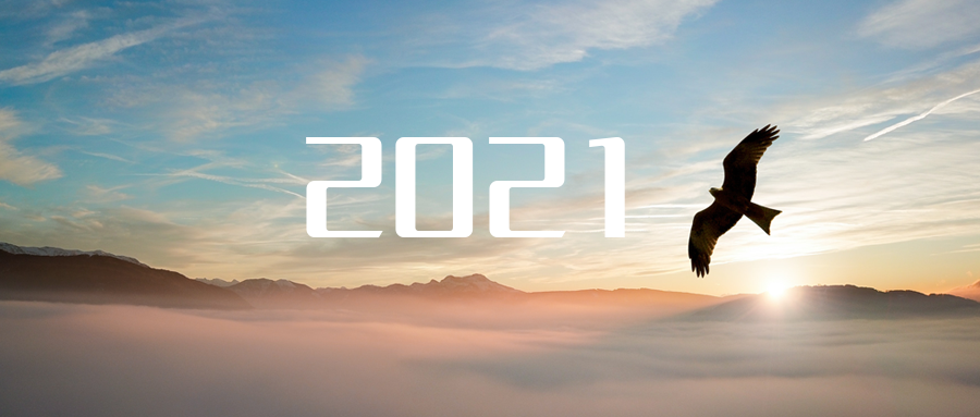 乘“峰”而上，智“盈”未來 ——2021年盈峰環(huán)境高級資深副總裁新年開工動員
